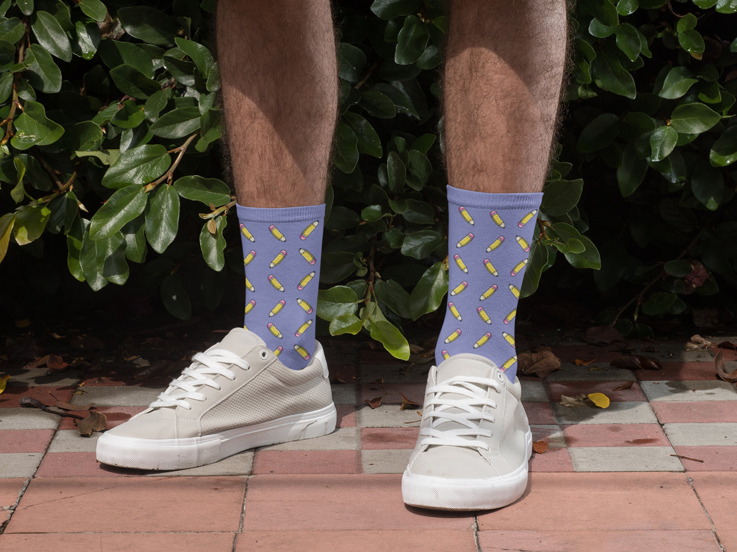 Fun Pencil Patterned Socks