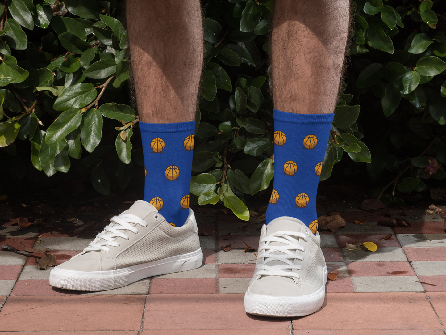 Basketball Fan Socks