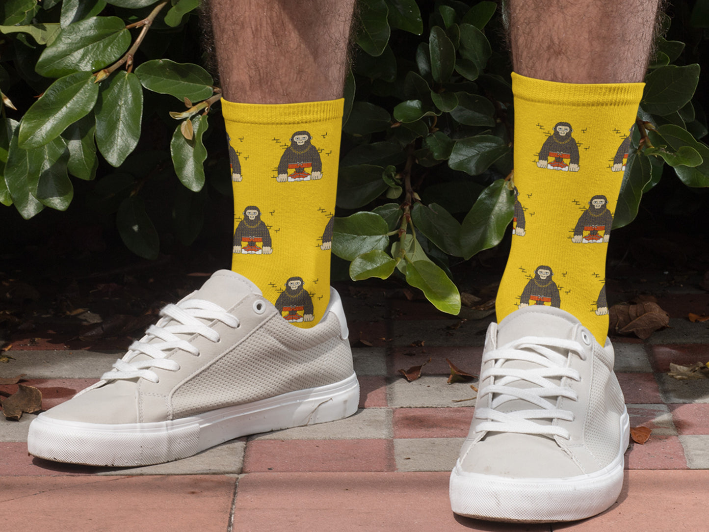 Funny Monkey Socks