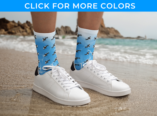 Whale Beach socks - Ocean Lover socks